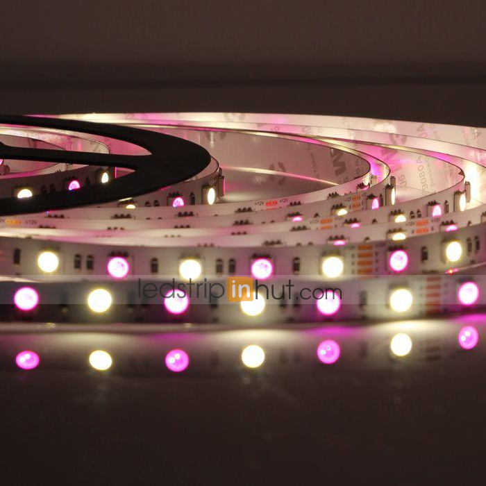 5050 RGB+W Color-Changing LED Strip Light w/ White and Multicolor LEDs 24V - 5m - 204 lm/ft - Non-Weatherproof(IP20)