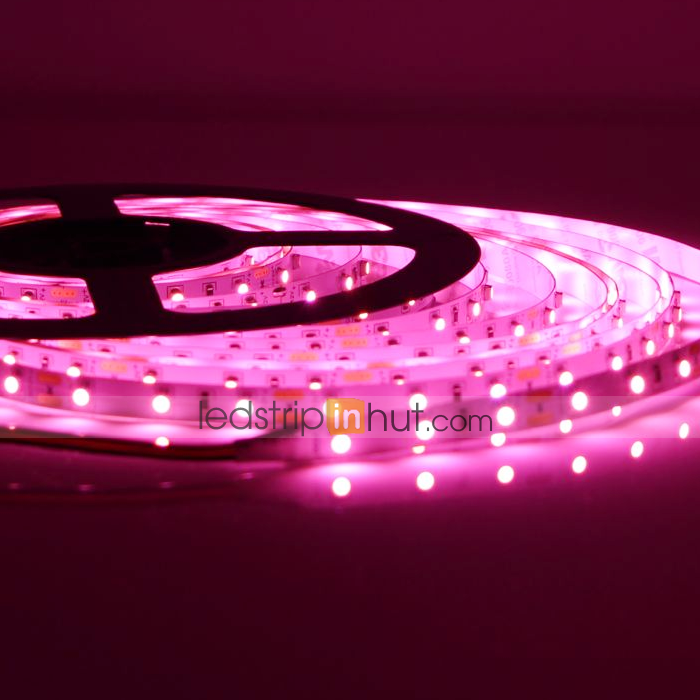 3528 Single Color LED Strip Light 24V - 5m - 150 lm/ft - Non-Weatherproof(IP20) - Click Image to Close