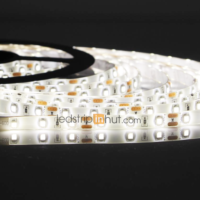 3528 Outdoor Single Color LED Strip Light 12V - 5m - 76 lm/ft - Weatherproof (IP65 /IP67 /IP68)