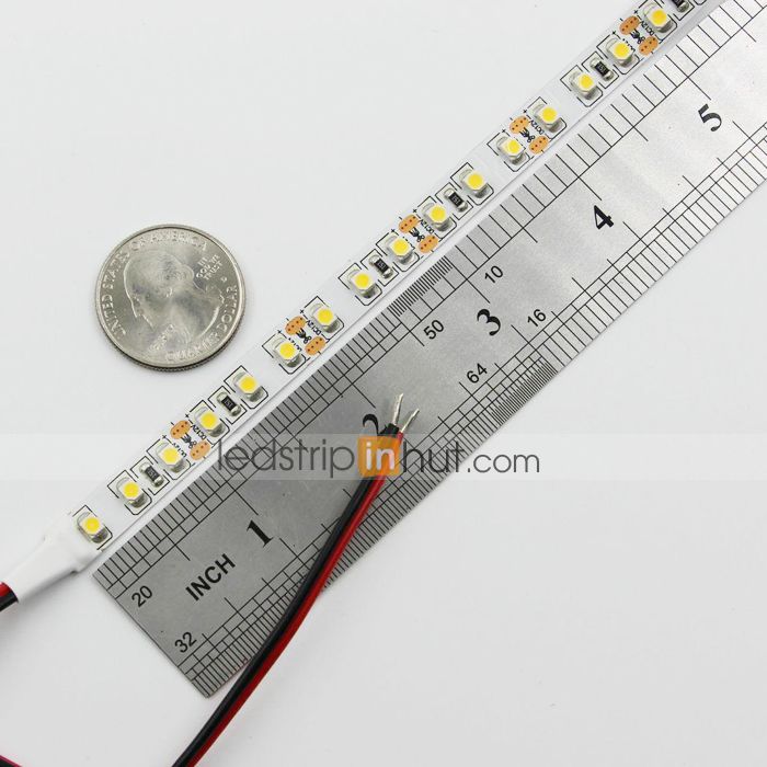 3528 Single-Color LED Strip Light 24V - 5m - 300 lm/ft - Non-Weatherproof(IP20)