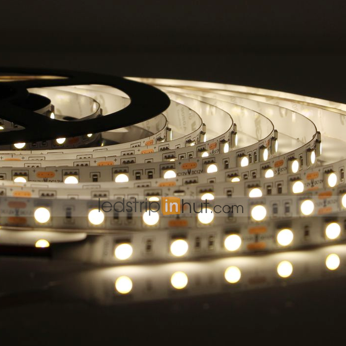 5050 Single Color LED Strip Light 24V - 5m - 385 lm/ft - Non-Weatherproof(IP20)