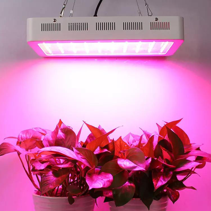 1000W Dual Chip Medical plant indoor Full-Spectrum LED Grow Light