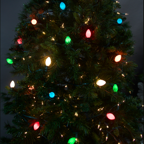 Opaque Multi-Color C9 Christmas String Lights - 25 ft. - 25 Bulbs